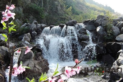 『隨華全，觀天下』 ——走進上虞